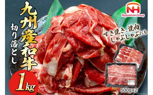 日本ハム 牛肉 九州産 和牛 小分け 焼肉 切り落とし 500g×2p 計1kg [日本ハムマーケティング 宮崎県 日向市 452060541] 肉 牛 精肉 冷凍 すき焼き しゃぶしゃぶ 訳あり