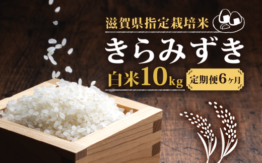 新米 【令和6年10月中旬より順次発送】 きらみずき 白米 10kg 2024年産 化学肥料不使用 滋賀県指定栽培米 国産 安心 安全 近江米 米  お米 白米 お弁当 玄米 産地直送 滋賀県 竜王町 送料無料｜ふるラボ