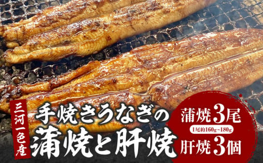 三河一色産手焼きうなぎの蒲焼と肝焼【蒲焼パック冷凍×3尾、肝焼×3個】・M099 1477252 - 愛知県西尾市