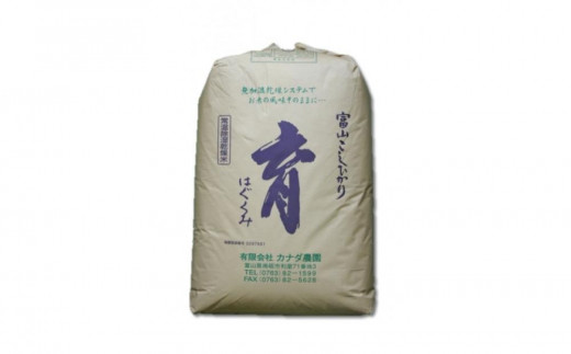 定期便・隔月６回  富山県産こしひかり 育（はぐくみ）玄米３０kg《南砺の逸品》 1467275 - 富山県南砺市