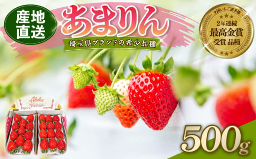 [ 予約受付 ] あまりん DXパック 500g ( 250g × 2P ) 1月発送 いちご 苺 ストロベリー 産地直送 ご当地 果物 くだもの フルーツ デザート 食品 冷蔵 ロコファーム 埼玉県 羽生市