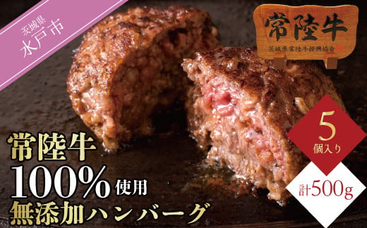 [ふるさと納税]ハンバーグ 5個 セット ギフト 10000円 常陸牛100% 無添加 手捏ねハンバーグ 100g 5個入り プレゼント 食べ物 冷凍 小分け ※離島への配送不可(北海道、沖縄本島は配送可能)(DU-6)