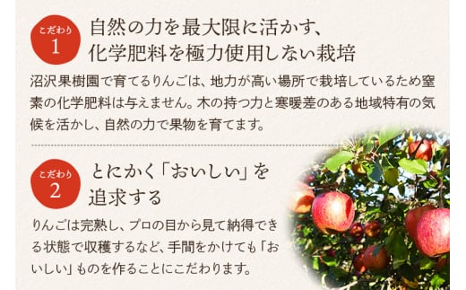 樹上完熟サンふじ ご家庭用 約5kg（13～23玉前後） / 秋田県横手市 | セゾンのふるさと納税