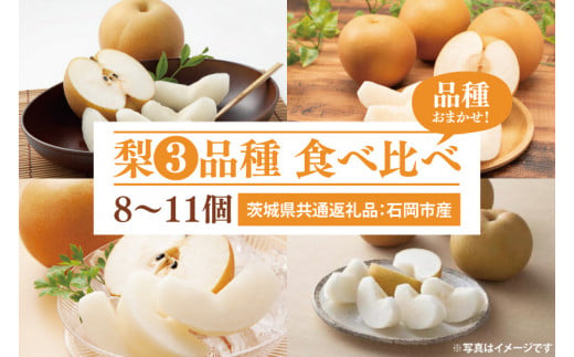 梨 3品種 食べ比べ 8~11個（茨城県共通返礼品：石岡市産） ※2024年8月～11月下旬頃に順次発送予定（CD073）