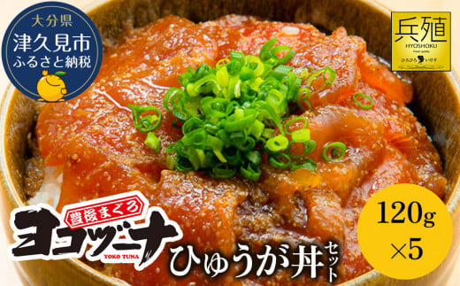 豊後まぐろ ヨコヅーナ ひゅうが丼セット 120g×5  鮪 マグロ 海鮮丼 刺し身 盛り合わせ 冷凍 新鮮 漬け丼 大分県産 九州産 津久見市 国産