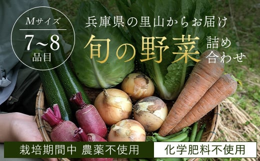 [栽培期間中農薬不使用]兵庫県の里山からお届け 旬の野菜詰め合わせ Mサイズ[7~8品目]