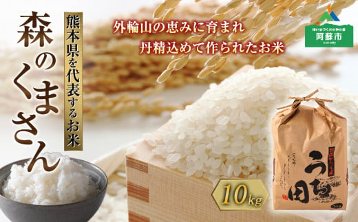 令和6年度産　内田農場の新米　森のくまさん10kg 5kg×2袋 白米 1467823 - 熊本県阿蘇市