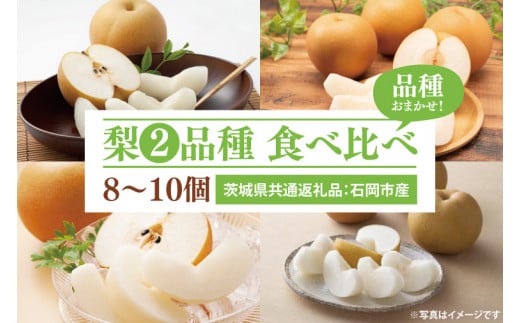 梨 2品種 食べ比べ 8~10個（茨城県共通返礼品：石岡市産） ※2024年8月～11月下旬頃に順次発送予定（CD072）