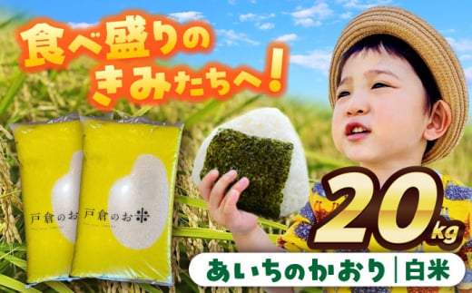 【12月発送】＼選べる配送月／ あいちのかおり　白米　20kg　お米　ご飯　愛西市／株式会社戸倉トラクター [AECS003-12] 1461217 - 愛知県愛西市