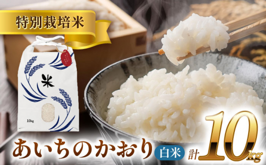 【12月発送】愛知県産あいちのかおり 白米10kg 特別栽培米 ご飯 精米／戸典オペレーター [AECT025-12] 1470921 - 愛知県愛西市