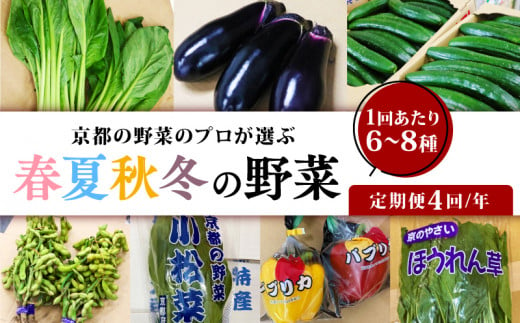 定期便 4回 京都 季節の野菜 6～8種 年4回 旬  京野菜 春 夏 秋 冬 なす とうもろこし トマト ねぎ 鍋 サラダ おかず 京都府 人気 おまかせ 詰め合わせ セット  京印京都南部青果 1533077 - 京都府京都府庁