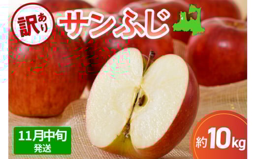 【先行受付】【2025年11月中旬発送】 サンふじ青森 訳あり りんご 10kg 程度 五所川原 不揃い 1064483 - 青森県五所川原市