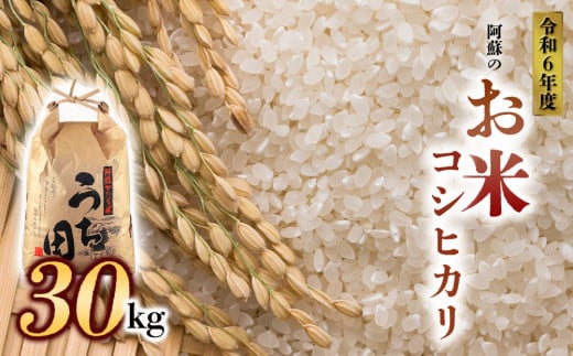 令和6年度産　内田農場の新米　コシヒカリ30kg 5kg×6袋 白米 1467812 - 熊本県阿蘇市