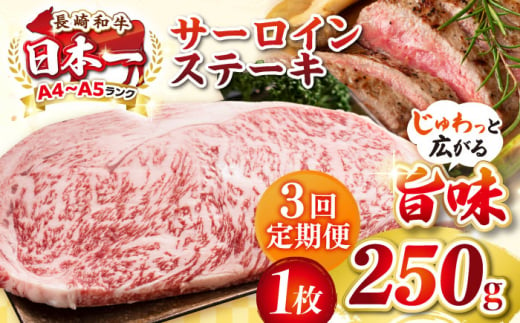 【全3回定期便】【A4〜A5ランク】長崎和牛 サーロインステーキ 250g（250g×1枚）《壱岐市》【株式会社MEAT PLUS】 肉 牛肉 黒毛和牛 サーロイン ステーキ ご褒美 ギフト 贈答用 ご褒美 冷凍配送 A4 A5 [JGH124] 1470183 - 長崎県壱岐市