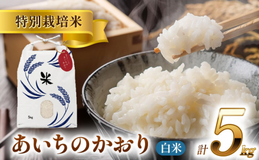 【11月発送】愛知県産あいちのかおり 白米5kg 特別栽培米 ご飯 精米／戸典オペレーター [AECT024-11] 1470908 - 愛知県愛西市