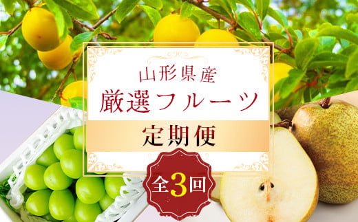 《先行予約 2025年8月発送開始》 山形県の至高！ 山形県厳選 フルーツ定期便 全3回 FSY-1819 1518104 - 山形県山形県庁