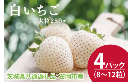 【先行予約】白いちご 大粒250g（8〜12粒）×4パック（茨城県共通返礼品：石岡市産）合計約1㎏　※2024年12月初旬～2025年3月下旬頃に順次発送予定(CD004)