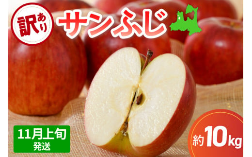 [2024年11月上旬発送] サンふじ青森 訳あり りんご 10kg 程度 五所川原 不揃い