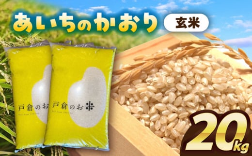 【10月発送】＼選べる配送月／ あいちのかおり　玄米　20kg　お米　ご飯　愛西市／株式会社戸倉トラクター [AECS012-10] 1461251 - 愛知県愛西市