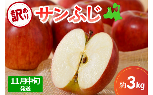 【先行受付】【2025年11月中旬発送】サンふじ 訳あり りんご 青森 3kg 度|選べる配送時期| 五所川原 不揃い 1432978 - 青森県五所川原市