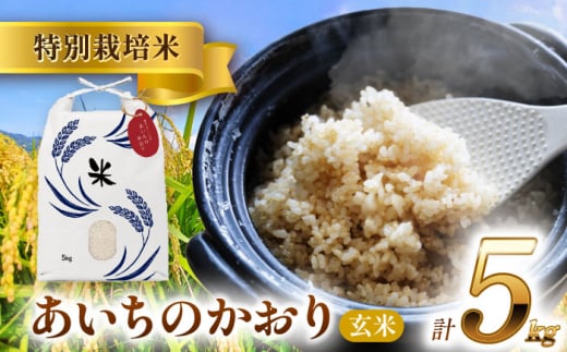 【3月発送】愛知県産あいちのかおり 玄米5kg 特別栽培米 お米 ご飯 愛西市 / 戸典オペレーター [AECT026-3]