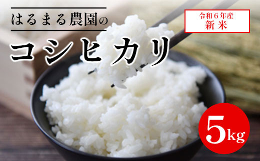 【令和6年産新米】京都丹波福知山産 はるまる農園のコシヒカリ 5kg ／9月中発送可 ふるさと納税 精米 米 こめ ご飯 ごはん 白米 コシヒカリ こしひかり 特別栽培米 FCCN009