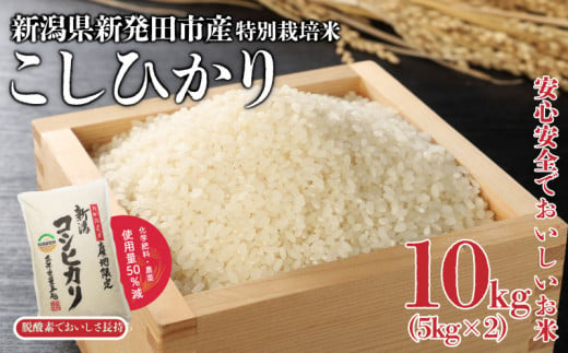 新米 令和6年産 特別栽培米 コシヒカリ 10kg 5kg×2袋 米 こめ ご飯 ごはん おいしい 新潟 新潟県 米 5kg 10kg コシヒカリ 新発田産 新潟産 朝食 昼食 夕飯 炊きたて 精米 1461529 - 新潟県新発田市