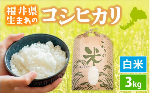 コシヒカリ 3kg 令和6年 新米 福井県産【白米】【 お米 こめ 米 コメ 精米 こしひかり 3キロ 人気品種】 [e30-a077] 271773 - 福井県越前町