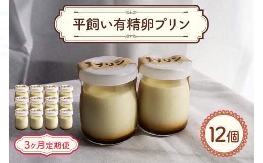 環の花 平飼い有精卵プリン 12個 3ヶ月定期便 スイーツ お菓子 濃厚 新鮮 国産 ぷりん 冷蔵 おやつ デザート たまご 贈り物 グルメ プレゼント 洋菓子 プリン スイーツギフト 詰め合わせ 誕生日 内祝い 定期便 【環の花】【ho1395】 2104872 - 茨城県常陸大宮市