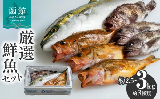 【函館産】厳選　鮮魚セット_HD156-001 1493924 - 北海道函館市