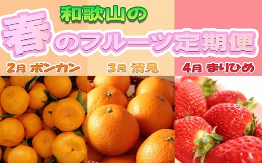 〈定期便〉【2・3・4月 全3回】和歌山の春のフルーツ（ポンカン・清見オレンジ・まりひめ）※北海道・沖縄・離島への配送不可