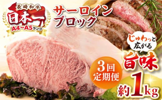 【全3回定期便】【A4〜A5ランク】長崎和牛 サーロインブロック　約1kg《壱岐市》【株式会社MEAT PLUS】 肉 牛肉 黒毛和牛 サーロイン ステーキ ブロック ご褒美 ギフト 贈答用 ご褒美 冷凍配送 A4 A5 [JGH136] 1470195 - 長崎県壱岐市