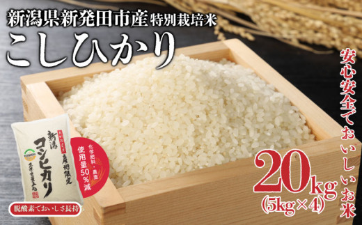 新米 令和6年産 特別栽培米 コシヒカリ 20kg 5kg×4袋 米 こめ ご飯 ごはん おいしい 新潟 新潟県 米 5kg 10kg 20k コシヒカリ 新発田産 新潟産 朝食 昼食 夕飯 炊きたて 精米 1461530 - 新潟県新発田市