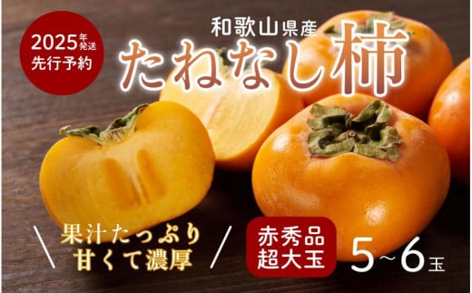 柿 種無し 赤秀品 超大玉 1.8kg 5～6個 【先行予約】【2025年9月下旬頃から発送】【KG4】 1398868 - 和歌山県和歌山市