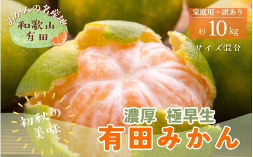 【初秋の美味】【10月～発送】有田育ちのご家庭用訳あり濃厚極早生有田みかん　約10kg【サイズ混合】　【ard053A】 765607 - 和歌山県古座川町