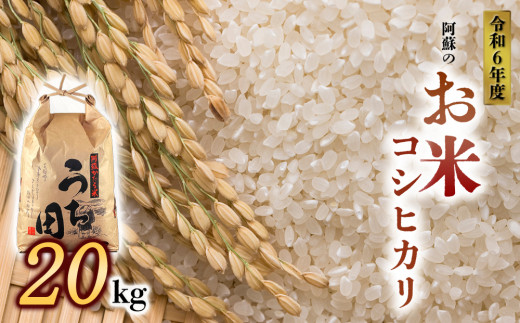 令和6年度産　内田農場の新米　コシヒカリ20kg 5kg×4袋 白米 1467811 - 熊本県阿蘇市