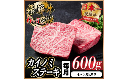 ＜毎月定期便＞飛騨牛 カイノミステーキ定期便 毎月600g全6回【4055997】