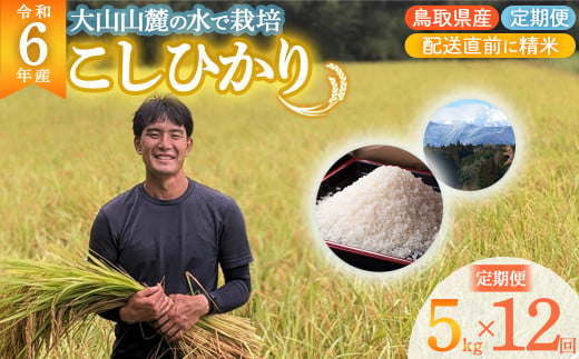 【令和6年産 新米定期便】 鳥取県倉吉市産 コシヒカリ （5kg×12回） 定期便 新米 新米予約 令和6年産米 精米 お米 米 こめ コメ 白米 こしひかり コシヒカリ ブランド米