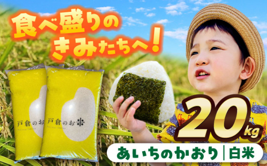 【10月発送】＼選べる配送月／ あいちのかおり　白米　20kg　お米　ご飯　愛西市／株式会社戸倉トラクター [AECS003-10] 1461215 - 愛知県愛西市