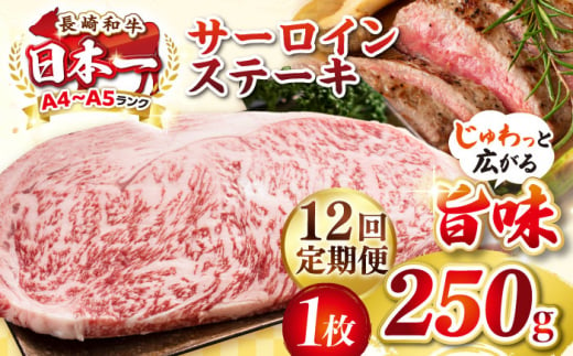 【全12回定期便】【A4〜A5ランク】長崎和牛 サーロインステーキ 250g（250g×1枚）《壱岐市》【株式会社MEAT PLUS】 肉 牛肉 黒毛和牛 サーロイン ステーキ ご褒美 ギフト 贈答用 ご褒美 冷凍配送 A4 A5 [JGH126] 1470185 - 長崎県壱岐市