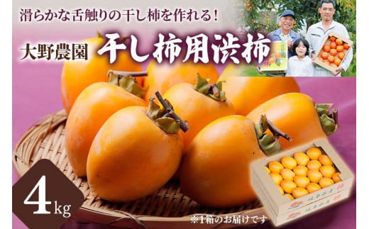 先行予約【令和6年産】大野農園の干し柿用渋柿（4kg) 【滑らかな舌触りの干し柿を手作りで！】サイズ不揃い 訳あり 11月発送予定 [mt1316]