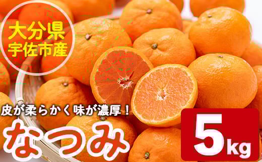 なつみ(約5kg)ハウス 樹成 完熟 みかん 蜜柑 柑橘 かんきつ フルーツ 果物 くだもの【111600200】【永木農園】 283703 - 大分県宇佐市