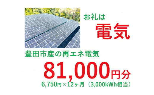 おいでんのでんき3,000kWh相当（81,000円分　毎月6,750円分×12ヶ月）【定期便：全12回】 1468465 - 愛知県豊田市