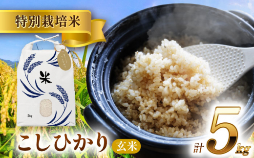 【10月発送】愛知県産コシヒカリ 玄米5kg 特別栽培米 お米 ご飯／戸典オペレーター [AECT022-10] 1470883 - 愛知県愛西市