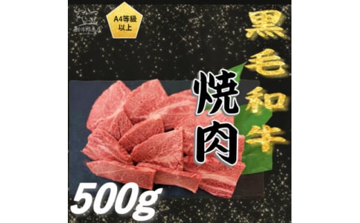 ＜A4以上＞勘治郎の特選黒毛和牛　厚切り焼肉「肩ロース(クラシタ)」(500g×1P)【1535636】 1469357 - 兵庫県西宮市