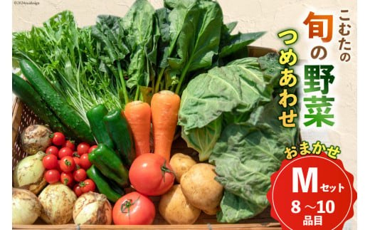 AI022【10～5月限定出荷】こむたの旬の野菜つめあわせ(8～10品目)おまかせ M セット 【 野菜 やさい 旬 種類 人気 オススメ 新鮮 詰め合わせ こむた 小無田 青果 長崎県 島原市 】