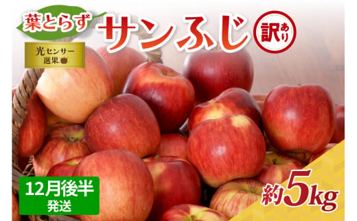 【2024年12月後半発送】【訳あり】青森県産葉とらずサンふじりんご約5kg 1064720 - 青森県五所川原市