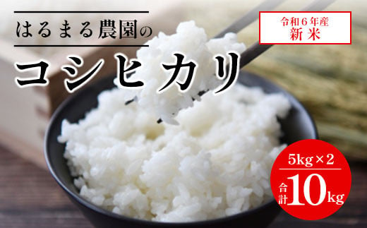 【令和6年産新米】京都丹波福知山産 はるまる農園のコシヒカリ 5kg×２ 合計10kg ／9月中発送可 ふるさと納税 精米 米 こめ ご飯 ごはん 白米 コシヒカリ こしひかり 特別栽培米 FCCN010 1372933 - 京都府福知山市