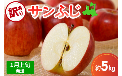 【先行受付】【2026年1月上旬発送】【訳あり】 りんご 5kg サンふじ 青森 1064705 - 青森県五所川原市