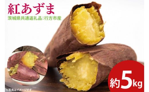 【先行予約】紅あずま 約5㎏（茨城県共通返礼品：行方市産）※2024年10月上旬～2025年3月下旬頃に順次発送予定（CD084）